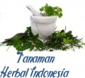 Tanaman Herbal Indonesia