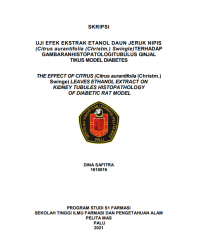 Uji Efek Ekstrak Etanol Daun Jeruk Nipis (Citrus aurantifolia (Christm.) Swingle) Terhadap Gambaran Histopatologi Tubulus Ginjal Tikus Model Diabetes