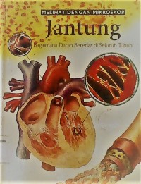 JANTUNG: Bagaimana Darah Beredar di Seluruh Tubuh