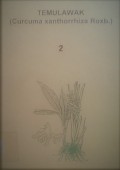 Temulawak ( curcuma xanthorrhiza roxb.) 2