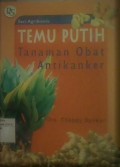 Temu Putih Tanaman Obat Antikanker